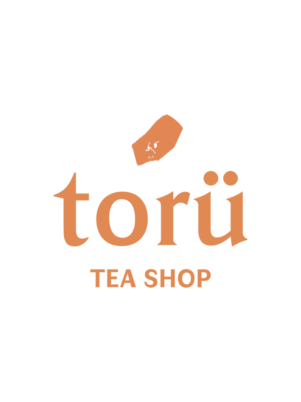 logo réduit Torü orange